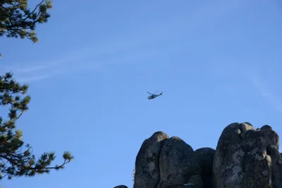 DSC_5227 (Large).JPG